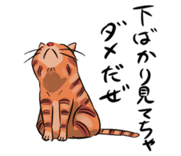 Daisuke, the cat. sticker #4928134