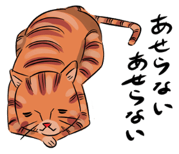 Daisuke, the cat. sticker #4928135