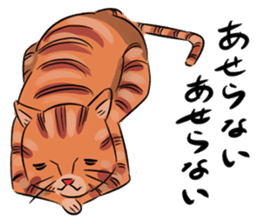 Daisuke, the cat. sticker #4928135