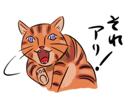Daisuke, the cat. sticker #4928136