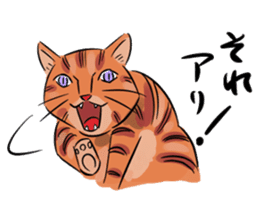 Daisuke, the cat. sticker #4928136