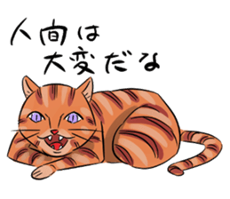 Daisuke, the cat. sticker #4928139