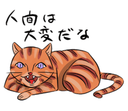 Daisuke, the cat. sticker #4928139