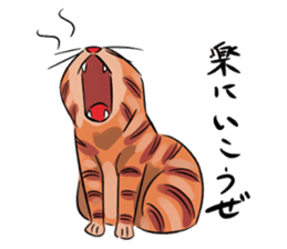 Daisuke, the cat. sticker #4928140