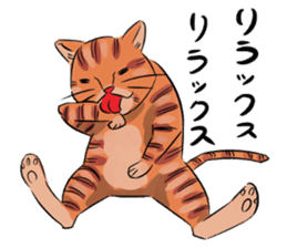Daisuke, the cat. sticker #4928141