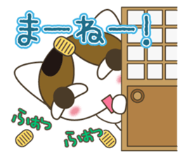 Holiday of the rabi sticker #4928376