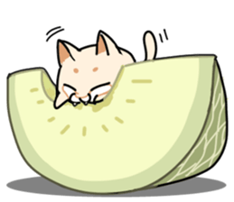 Aoneko kun sticker #4930821