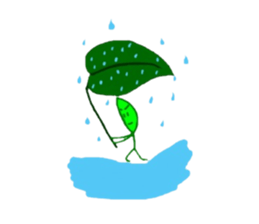 Chataro of a leaf sticker #4932153