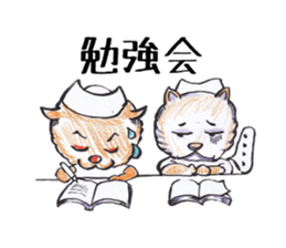 Cat nurse norako sticker #4933015