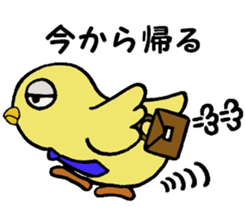 The chick names "Coco". sticker #4933425