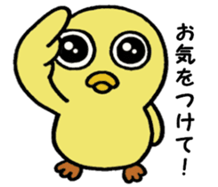 The chick names "Coco". sticker #4933429