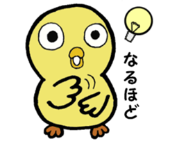 The chick names "Coco". sticker #4933444