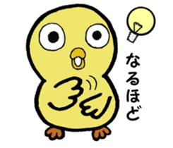 The chick names "Coco". sticker #4933444