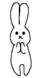 Expressionless rabbit's. sticker #4936976
