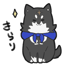 Shiba Inu KUROMAME. sticker #4939247