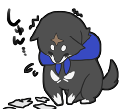 Shiba Inu KUROMAME. sticker #4939268