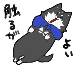 Shiba Inu KUROMAME. sticker #4939284