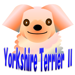 Light color's "Yorkie"in Japan 2
