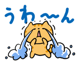 Red Tabby Cat Everyday sticker #4942600