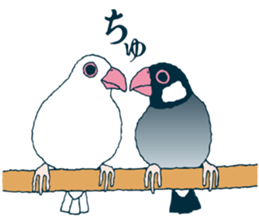 bird's everyday sticker #4943602