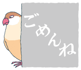 bird's everyday sticker #4943604