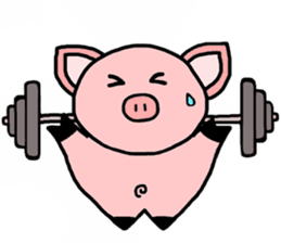 Sir Alex the Pig sticker #4946196