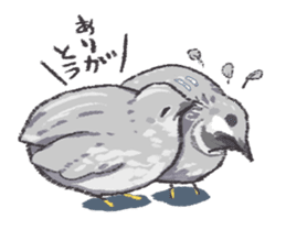Toddle King quail ! sticker #4947008