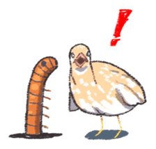 Toddle King quail ! sticker #4947014
