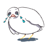 Toddle King quail ! sticker #4947018