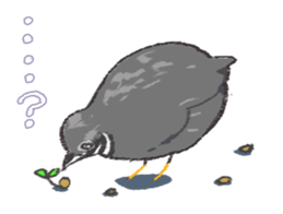 Toddle King quail ! sticker #4947035