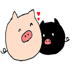 so cute pigs