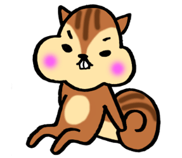 very cute squirrel Sticker sticker #4947465
