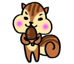 very cute squirrel Sticker sticker #4947475