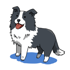 Border collie stamp