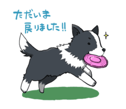 Border collie stamp sticker #4948206