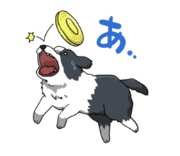 Border collie stamp sticker #4948207