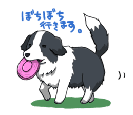 Border collie stamp sticker #4948208