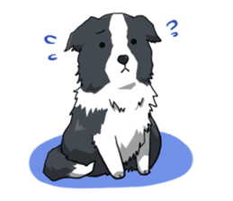 Border collie stamp sticker #4948209