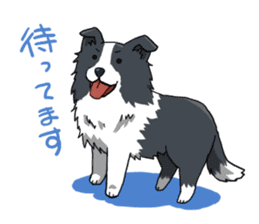 Border collie stamp sticker #4948210