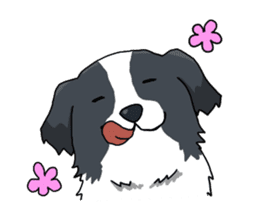 Border collie stamp sticker #4948211