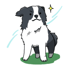 Border collie stamp sticker #4948212