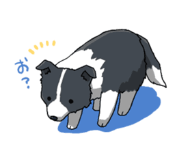 Border collie stamp sticker #4948213
