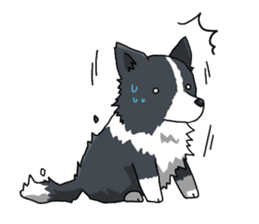 Border collie stamp sticker #4948215