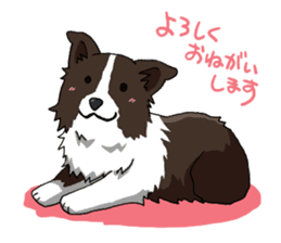 Border collie stamp sticker #4948216