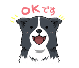 Border collie stamp sticker #4948217