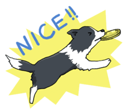 Border collie stamp sticker #4948222
