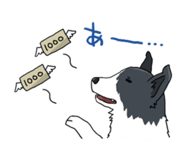 Border collie stamp sticker #4948223