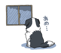 Border collie stamp sticker #4948224