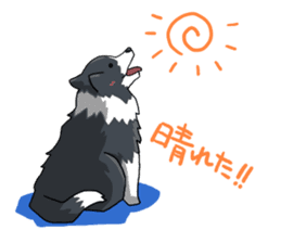 Border collie stamp sticker #4948225
