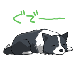 Border collie stamp sticker #4948228